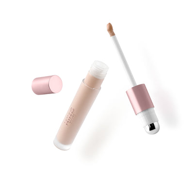 Days In Bloom Hide & Shine All-Over Concealer