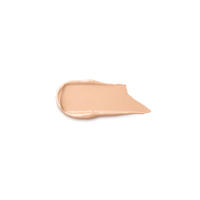 Snow-Kissed Holiday Silky Hydra Foundation & Concealer Spf30