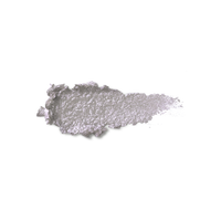 Snow-Kissed Holiday Icy Charm Eyeshadow Stick