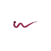 Just Cavalli X Kiko Milano Wild-Kisser Lip Liner