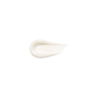 Volume & Plump Leave-In Conditioner