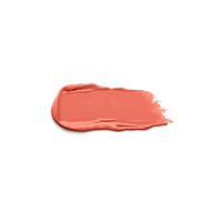 Beauty Roar Ph Matte Liquid Lip Color