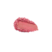 Holiday Premiãƒâ¨Re Charming Duo Blush