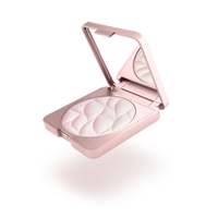 Days In Bloom Perfecting Face Powder