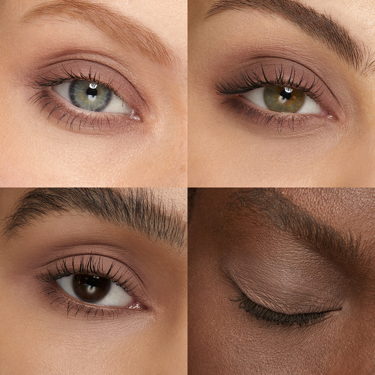 High Pigment Eyeshadow